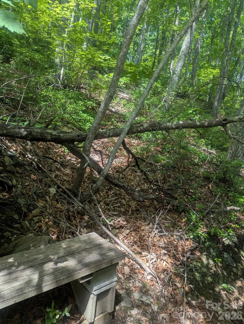 1662 Penley Road Lenoir, NC 28645