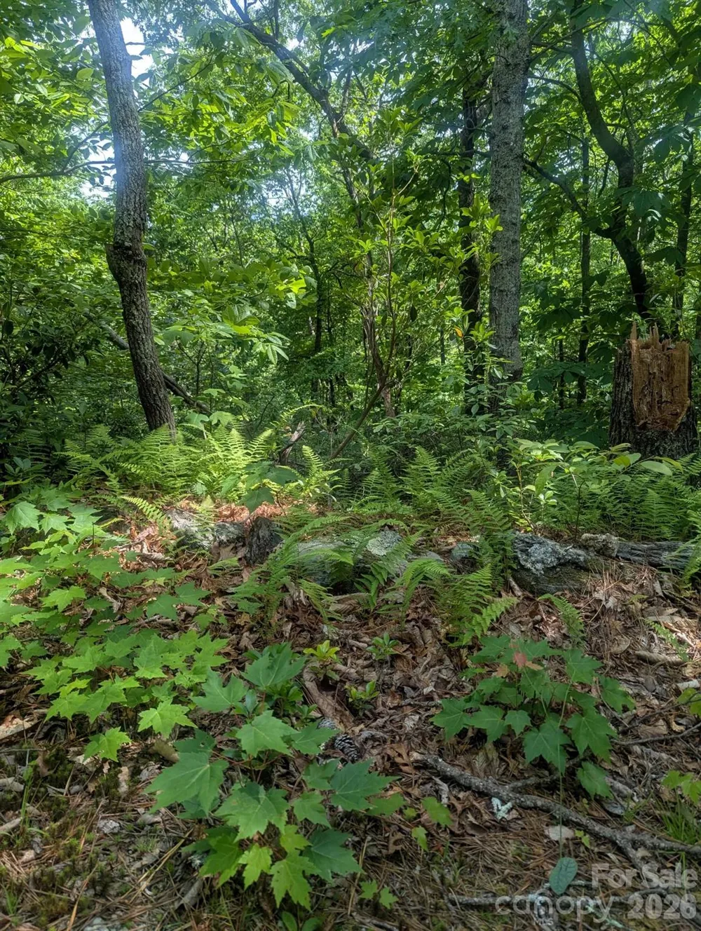 1662 Penley Road Lenoir, NC 28645