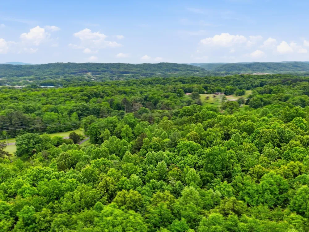 1301 River Road Decatur, TN 37322