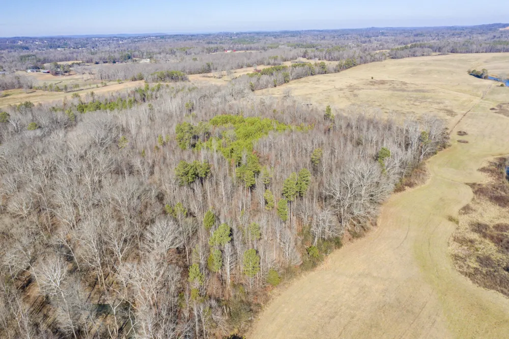 3919 Trewhitt Road SE Cleveland, TN 37323