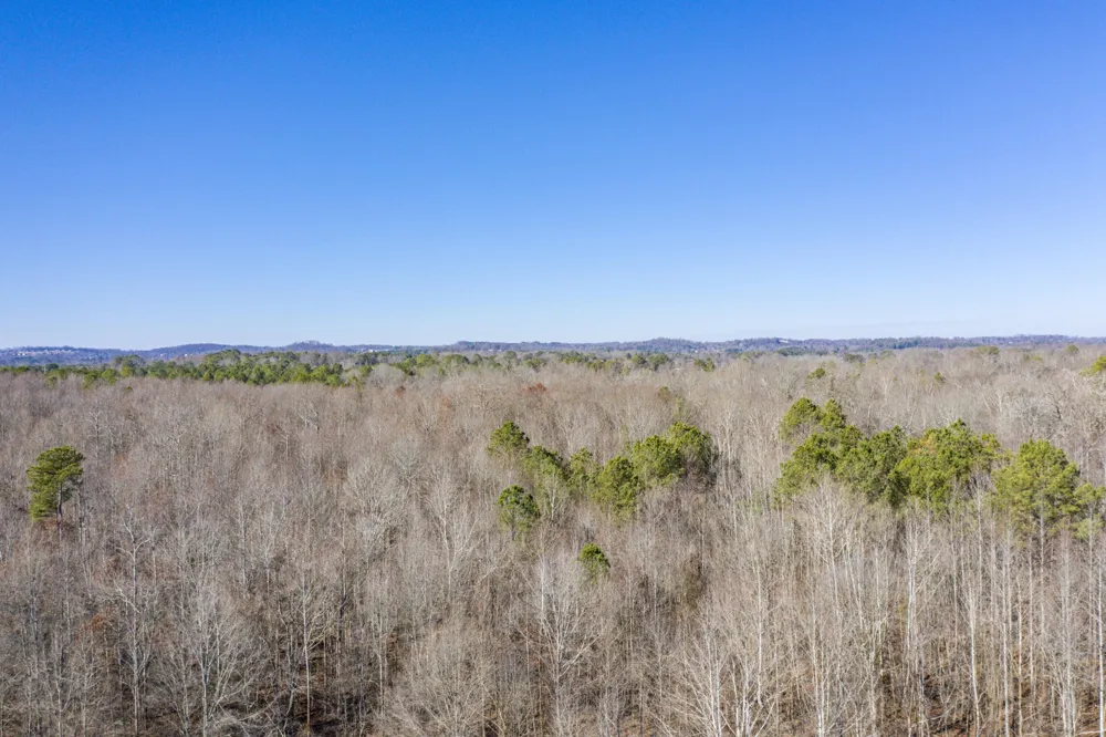 3919 Trewhitt Road SE Cleveland, TN 37323
