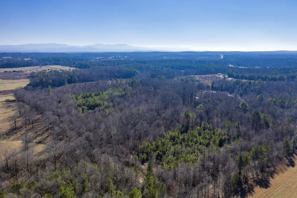 3919 Trewhitt Road SE Cleveland, TN 37323