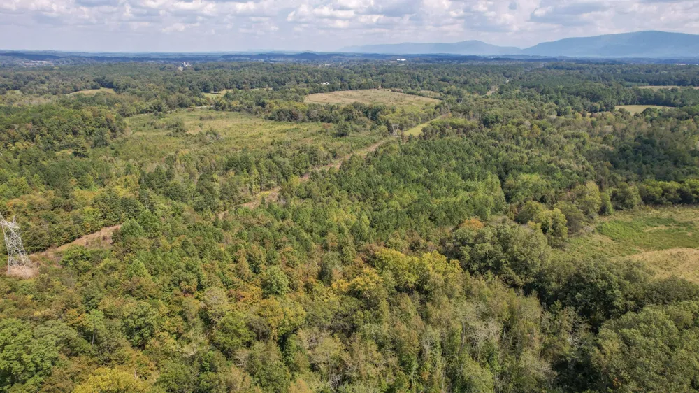 8093 Wright Lane NE Cleveland, TN 37323