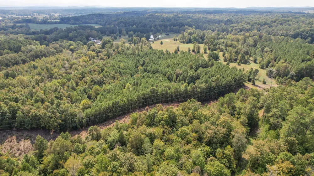 8093 Wright Lane NE Cleveland, TN 37323