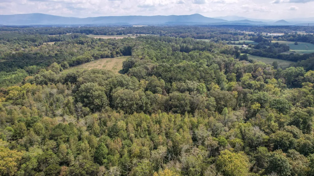 8093 Wright Lane NE Cleveland, TN 37323