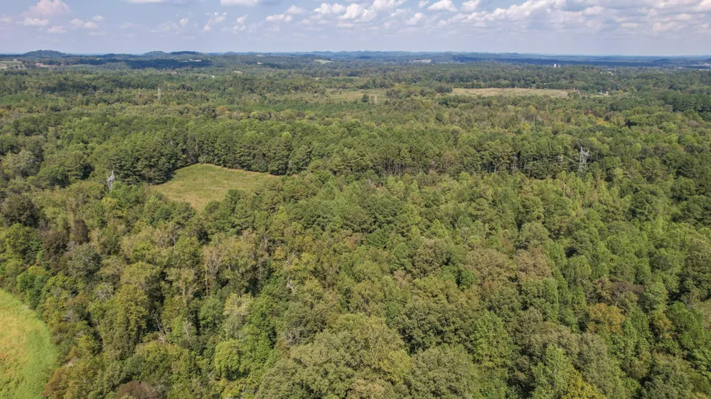 8093 Wright Lane NE Cleveland, TN 37323