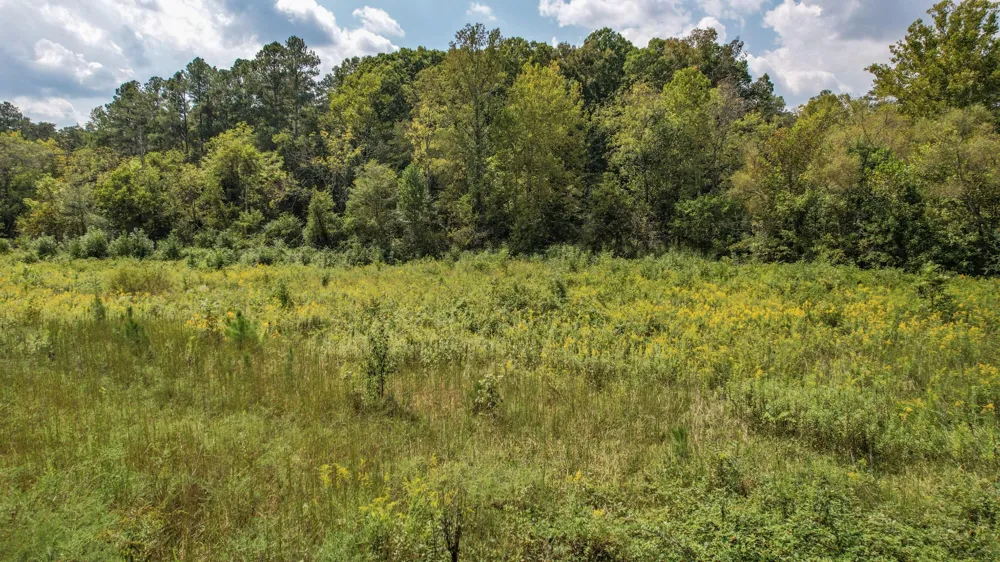 8093 Wright Lane NE Cleveland, TN 37323