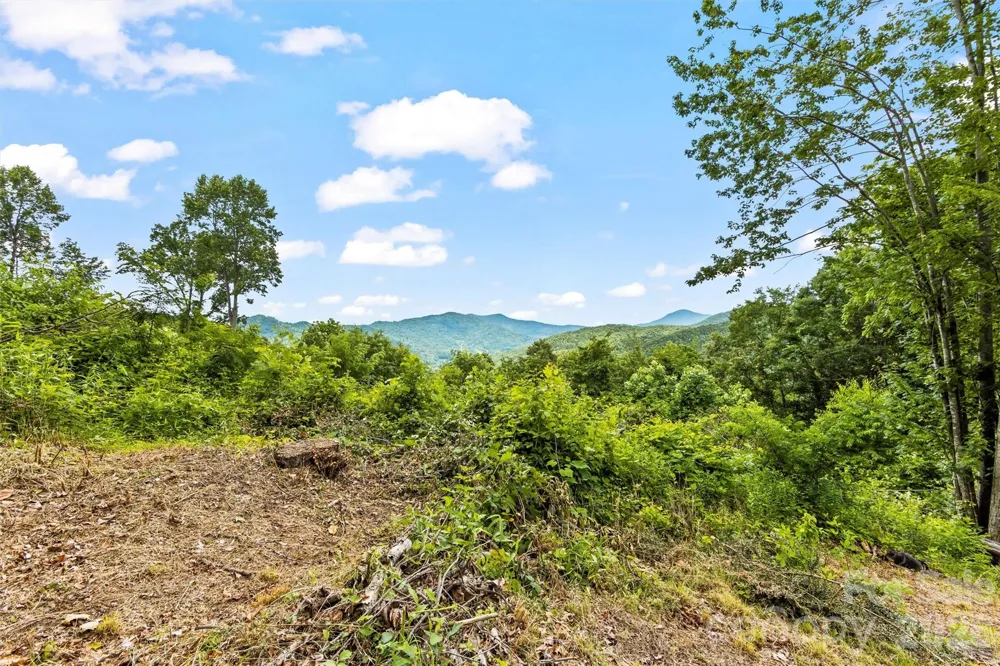 553 Paradise Mountain Road Canton, NC 28716