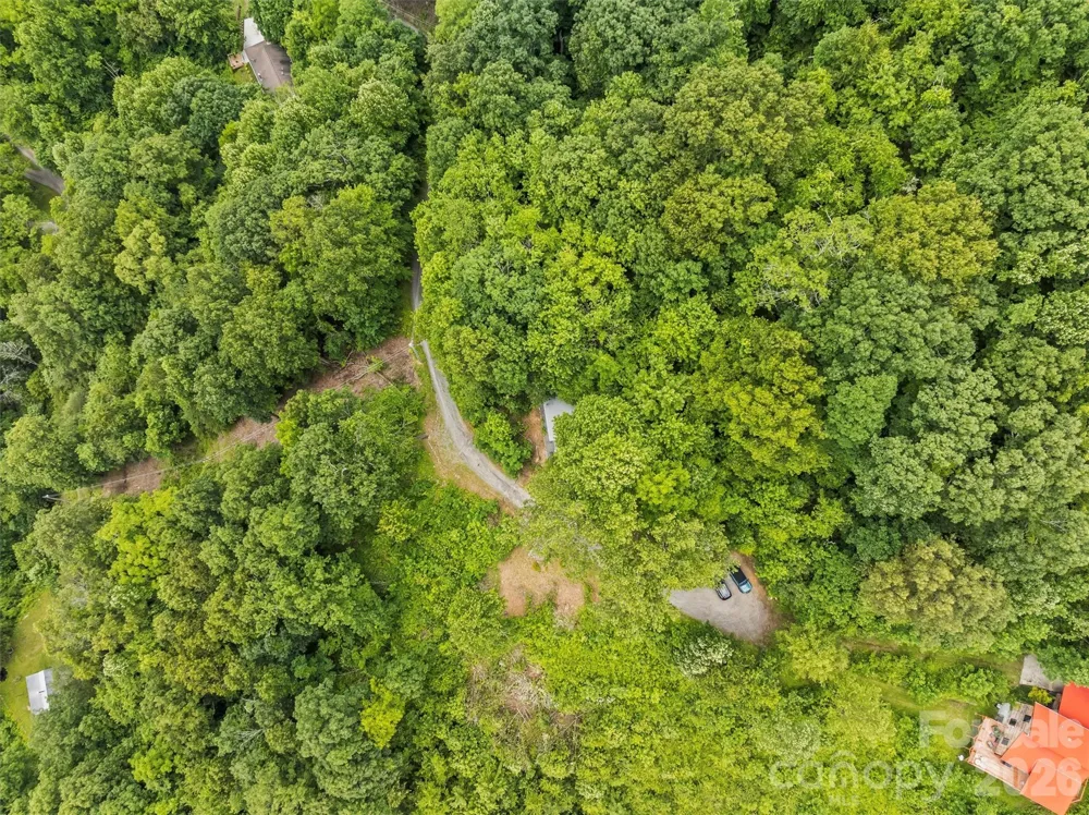 553 Paradise Mountain Road Canton, NC 28716