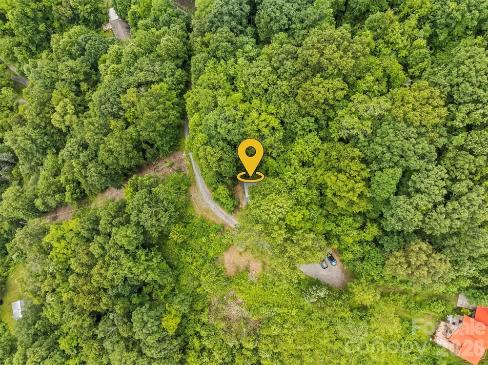 553 Paradise Mountain Road Canton, NC 28716