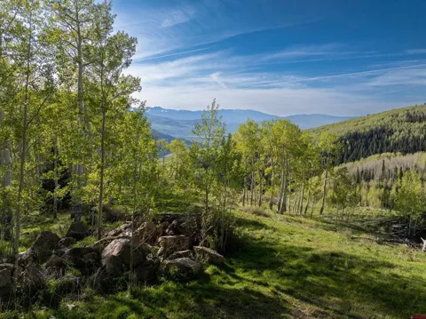 Oversteeg Gulch Road
