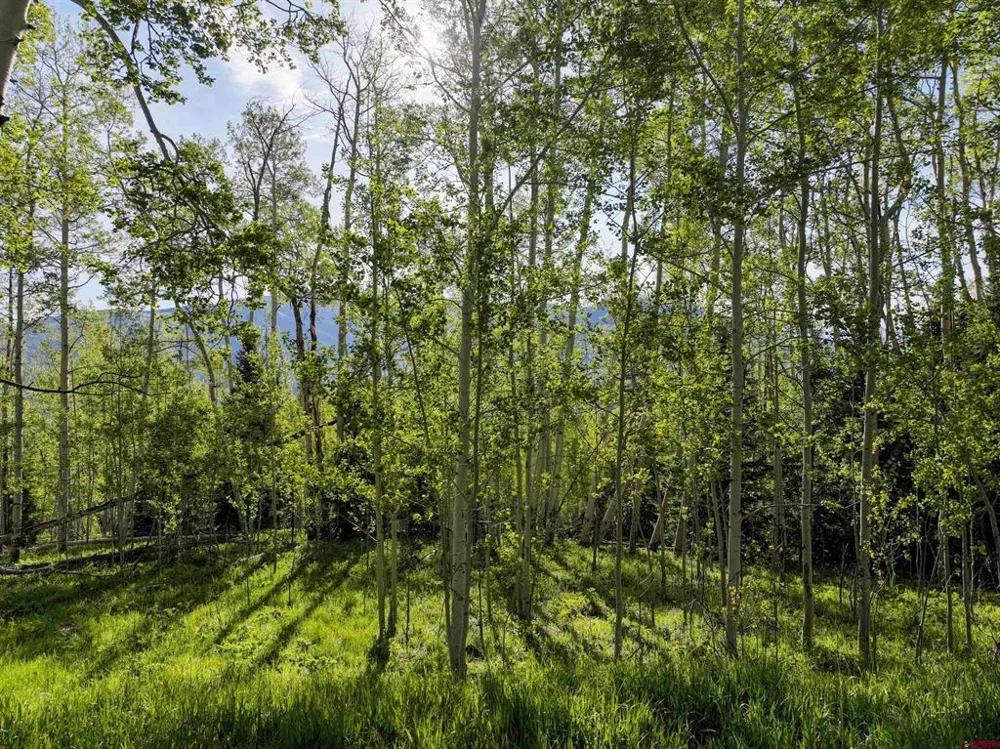 Oversteeg Gulch Road Crested Butte, CO 81224
