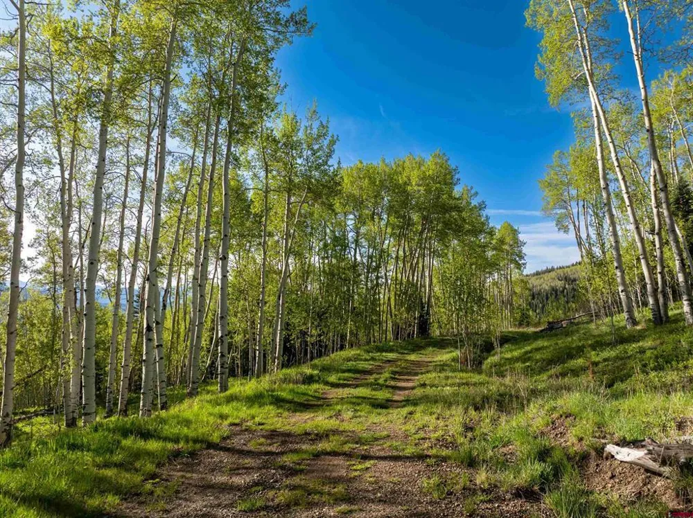 Oversteeg Gulch Road Crested Butte, CO 81224