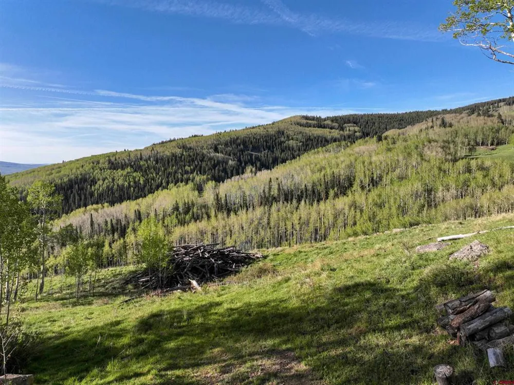 Oversteeg Gulch Road Crested Butte, CO 81224