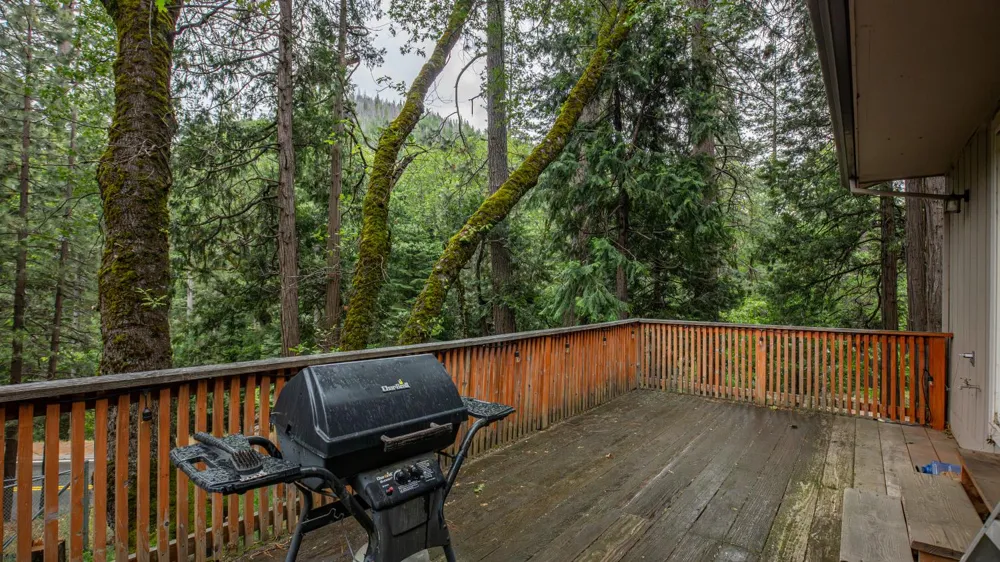 11528 Pine Cone Drive Kyburz, CA 95720