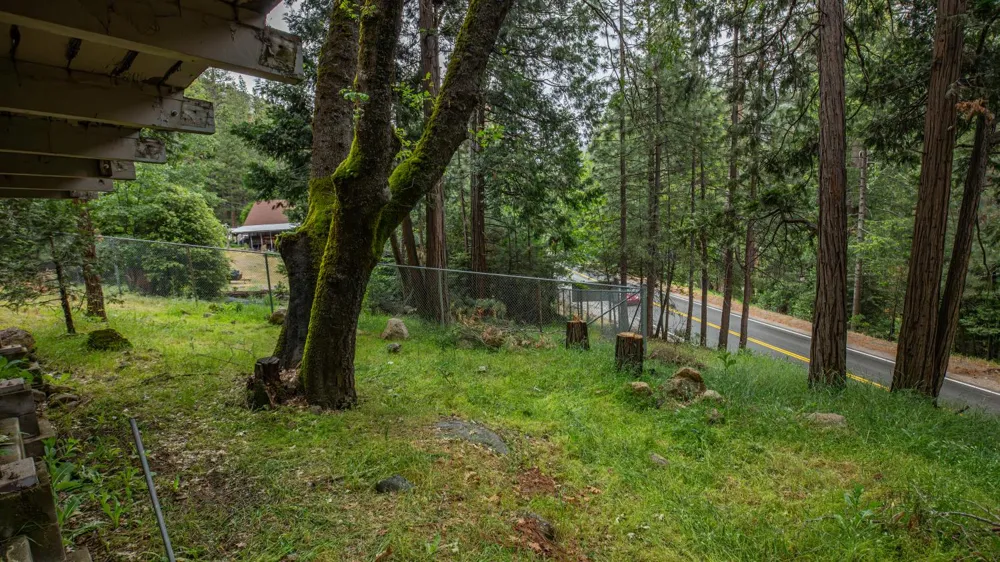 11528 Pine Cone Drive Kyburz, CA 95720