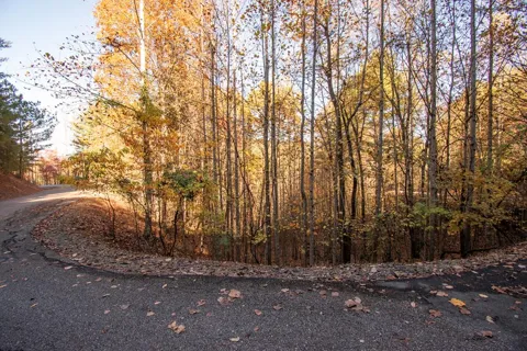 Lot 66 Choctaw Ridge Trail