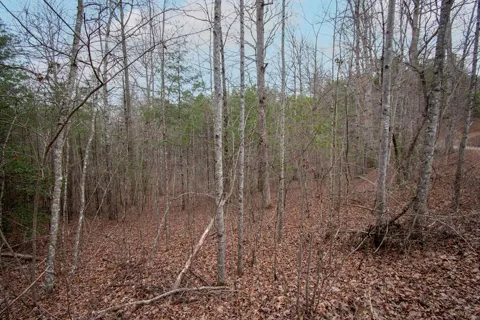 Lot 38 Posey Place