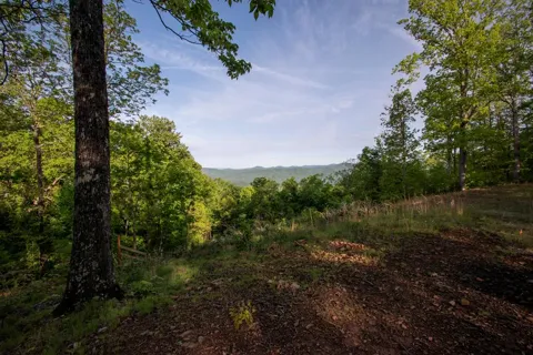 43/44 Timberwood Mountain Estates