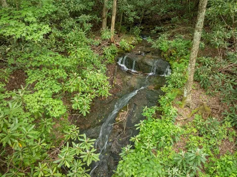 00 Walnut Cove Road