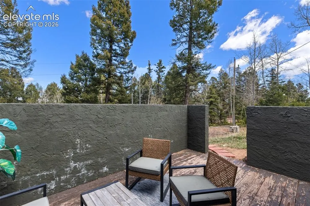 776 Jolly Rogue Drive Divide, CO 80814