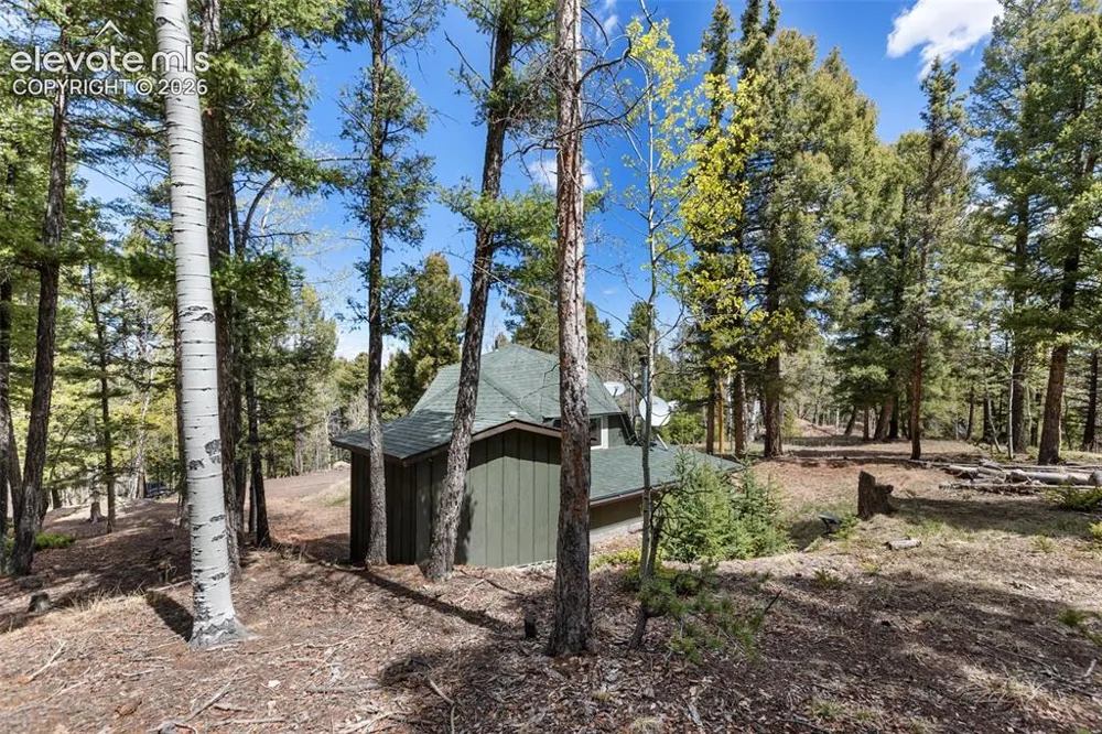 776 Jolly Rogue Drive Divide, CO 80814