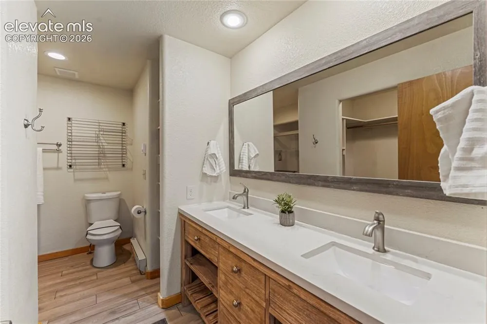 3543 Blue Mesa Drive Divide, CO 80814
