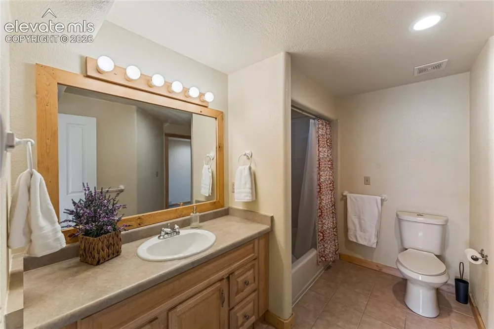3543 Blue Mesa Drive Divide, CO 80814