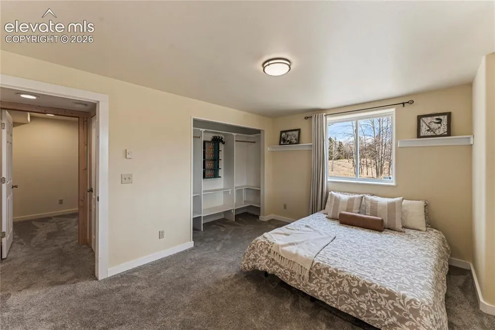3543 Blue Mesa Drive Divide, CO 80814