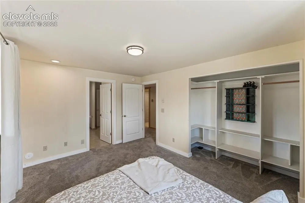 3543 Blue Mesa Drive Divide, CO 80814