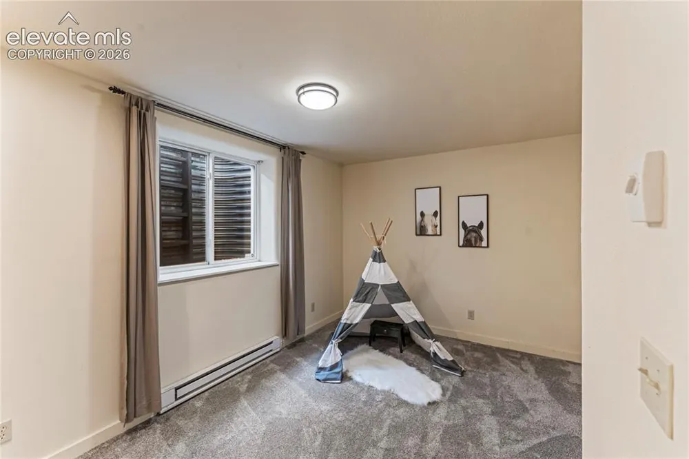 3543 Blue Mesa Drive Divide, CO 80814