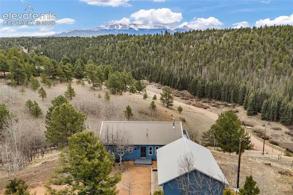 3543 Blue Mesa Drive Divide, CO 80814