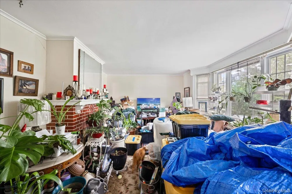 27 Faneuil Place New Rochelle, NY 10801