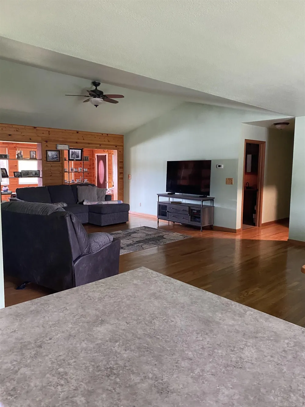14685 Roberts Court Amboy Township, MI 49232
