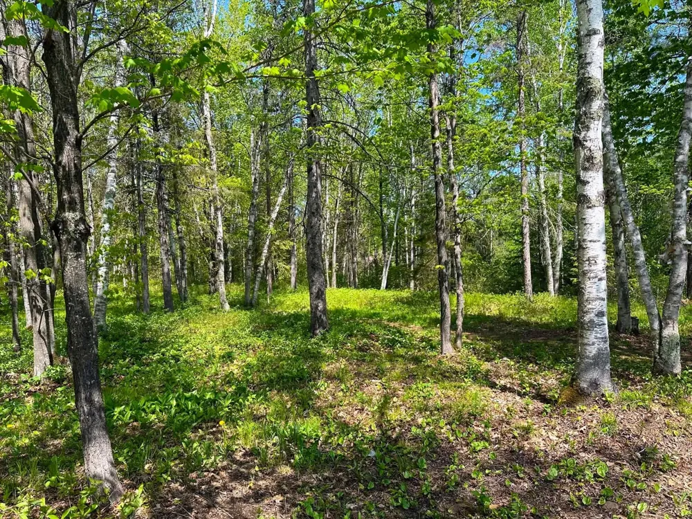 1505 Moorhead Road Cloquet, MN 55720