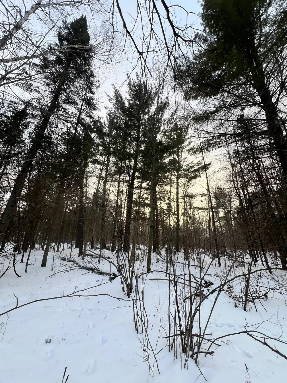 TBD County Rd 67 Grand Rapids, MN 55744