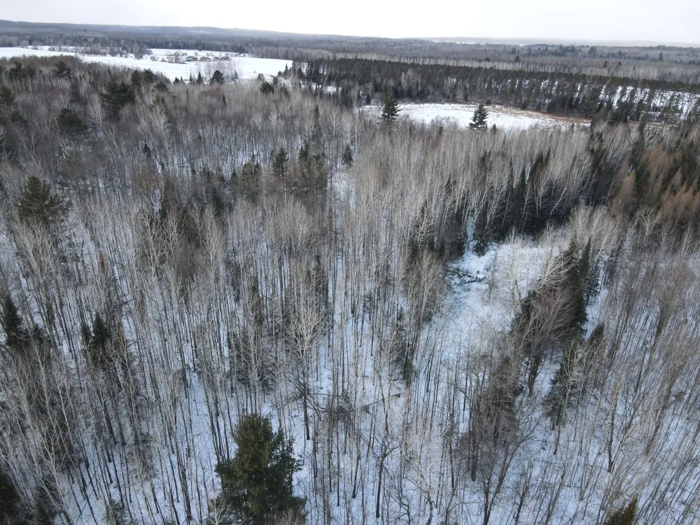TBD County Rd 67 Grand Rapids, MN 55744