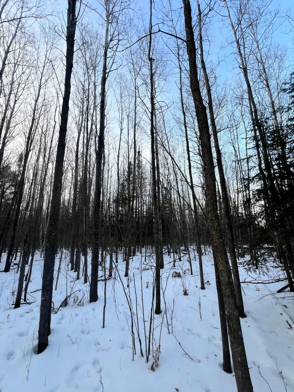 TBD County Rd 67 Grand Rapids, MN 55744