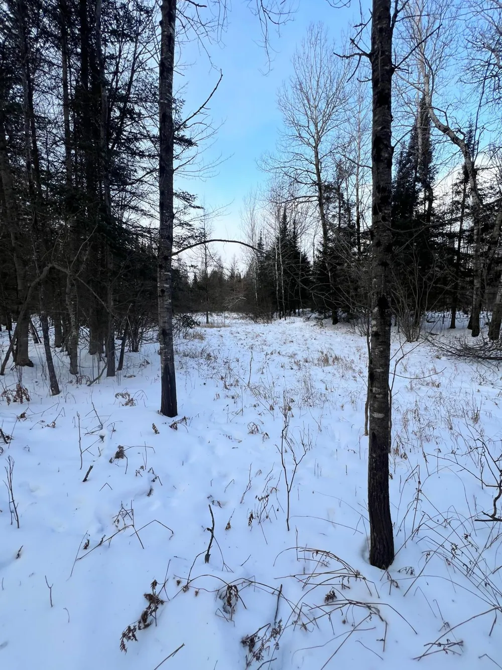 TBD County Rd 67 Grand Rapids, MN 55744