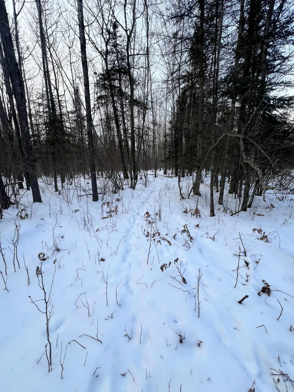 TBD County Rd 67 Grand Rapids, MN 55744