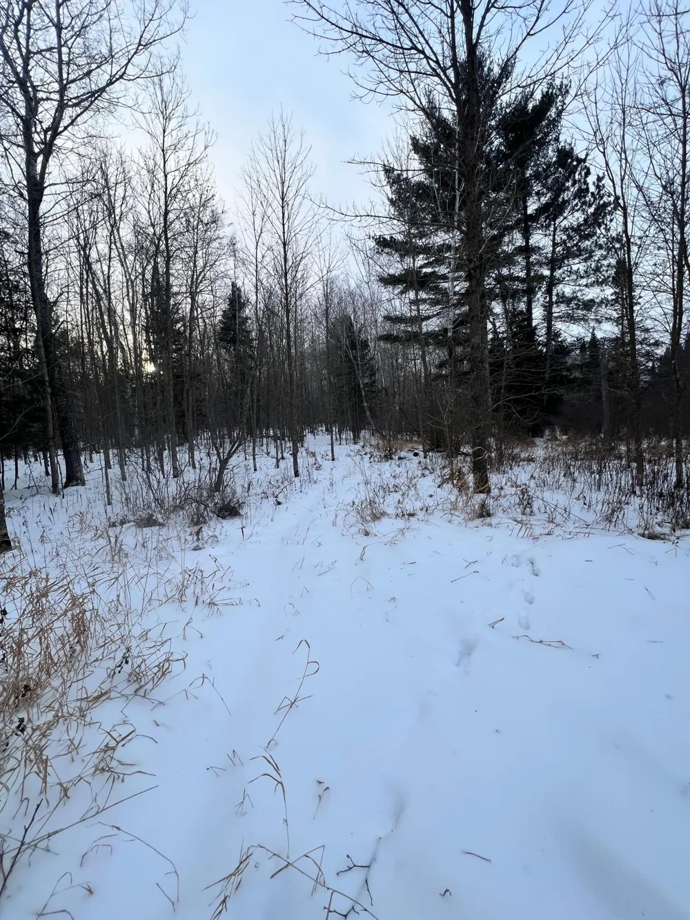 TBD County Rd 67 Grand Rapids, MN 55744