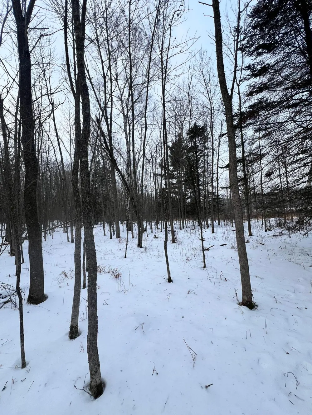TBD County Rd 67 Grand Rapids, MN 55744