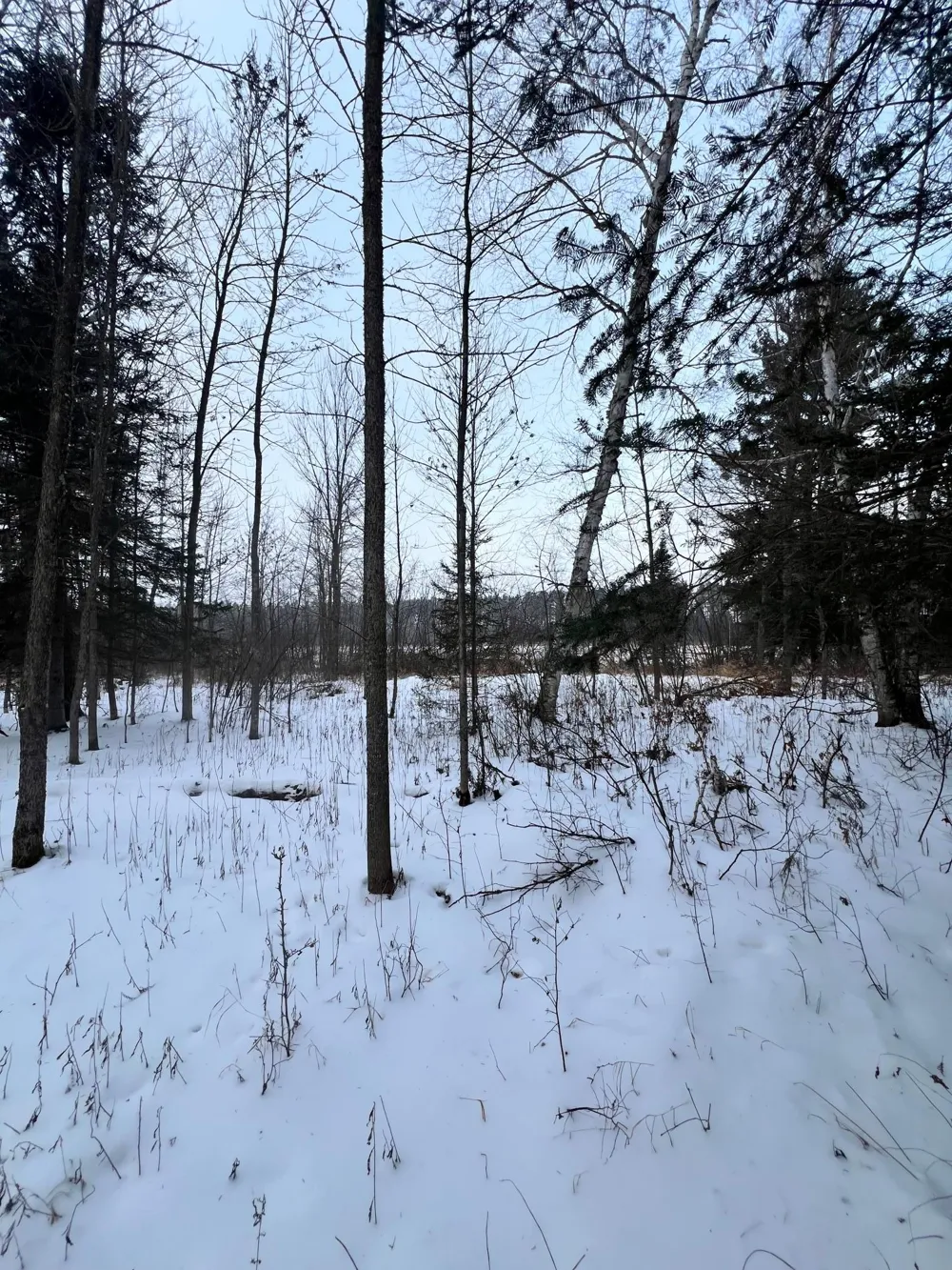 TBD County Rd 67 Grand Rapids, MN 55744