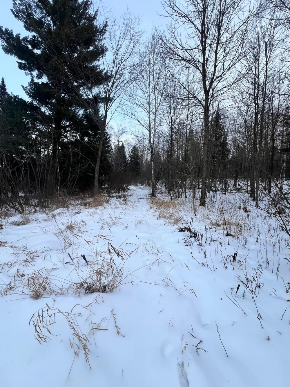 TBD County Rd 67 Grand Rapids, MN 55744