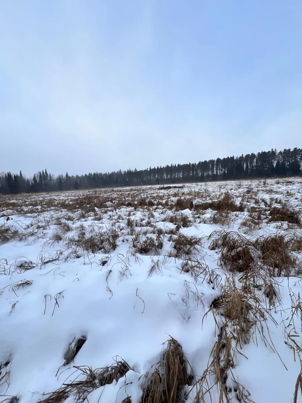 TBD County Rd 67 Grand Rapids, MN 55744