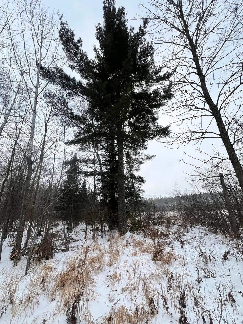 TBD County Rd 67 Grand Rapids, MN 55744