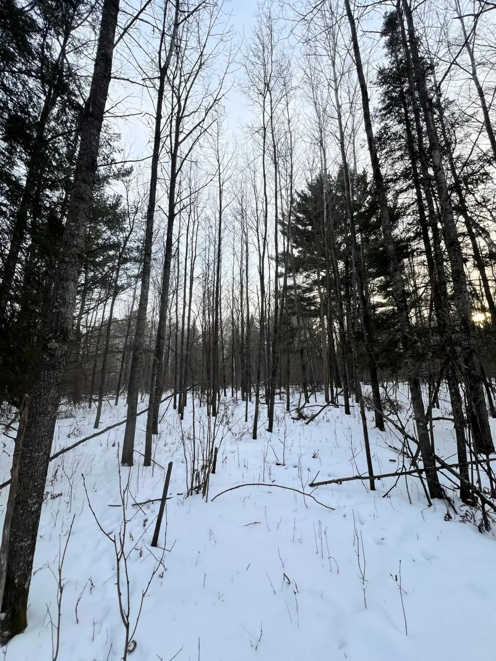 TBD County Rd 67 Grand Rapids, MN 55744