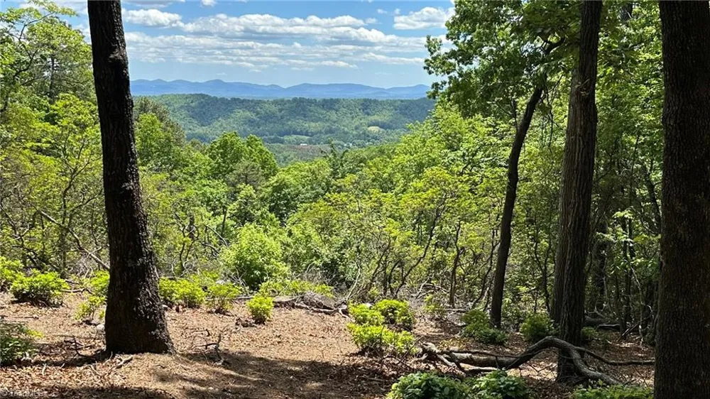 T23 Widow Mountain Drive Hays, NC 28635