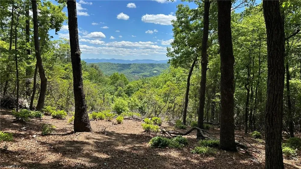 T23 Widow Mountain Drive Hays, NC 28635