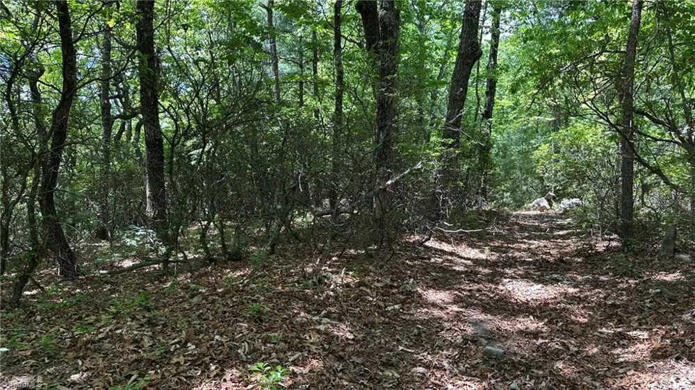 T23 Widow Mountain Drive Hays, NC 28635